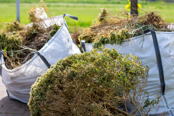 Best Dumpster Rental Services  in Bright, IN